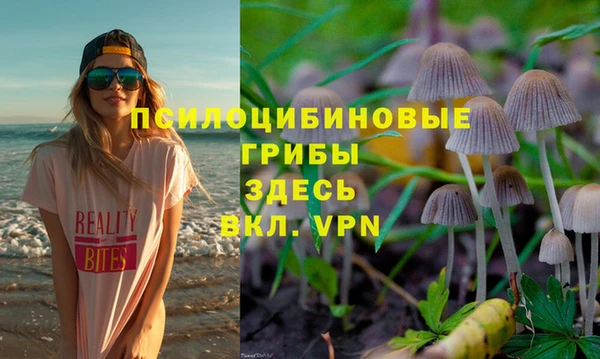 прущие грибы Вязники