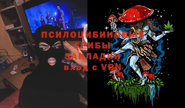первитин Горнозаводск