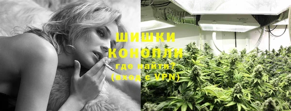 стафф Горняк
