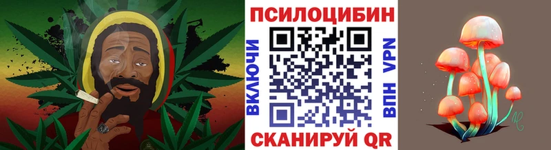 Псилоцибиновые грибы Magic Shrooms  купить закладку  Заводоуковск 